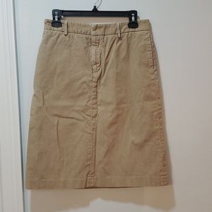 Banana Republic Skirt